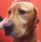 5 Ruff